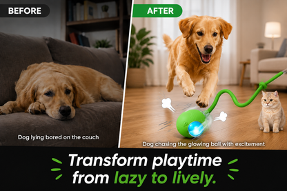 Interactive Smart Ball for Pets