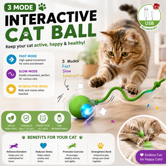 Interactive Smart Ball for Pets