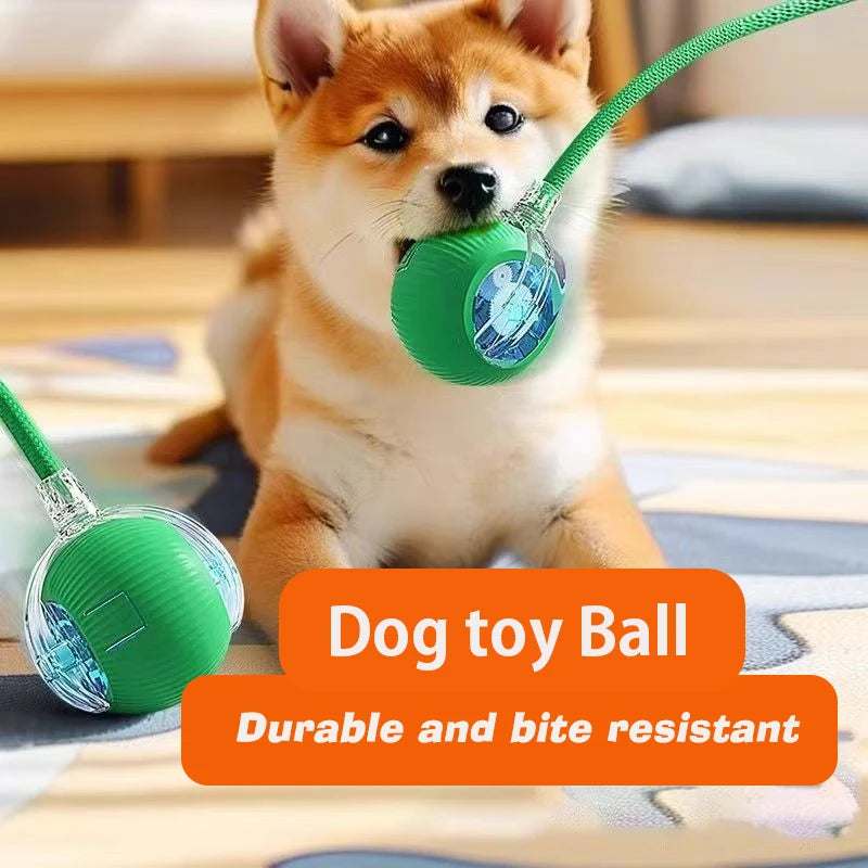 Interactive Smart Ball for Pets