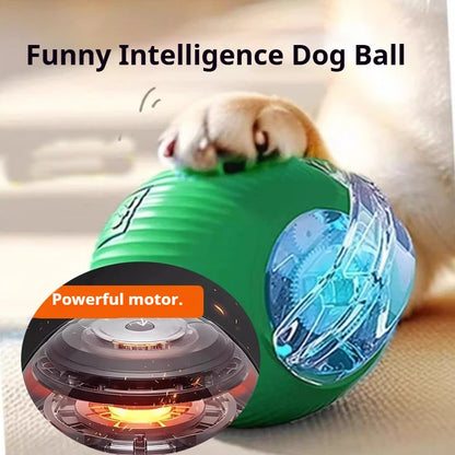 Interactive Smart Ball for Pets