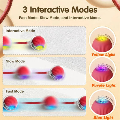 Interactive Smart Ball for Pets