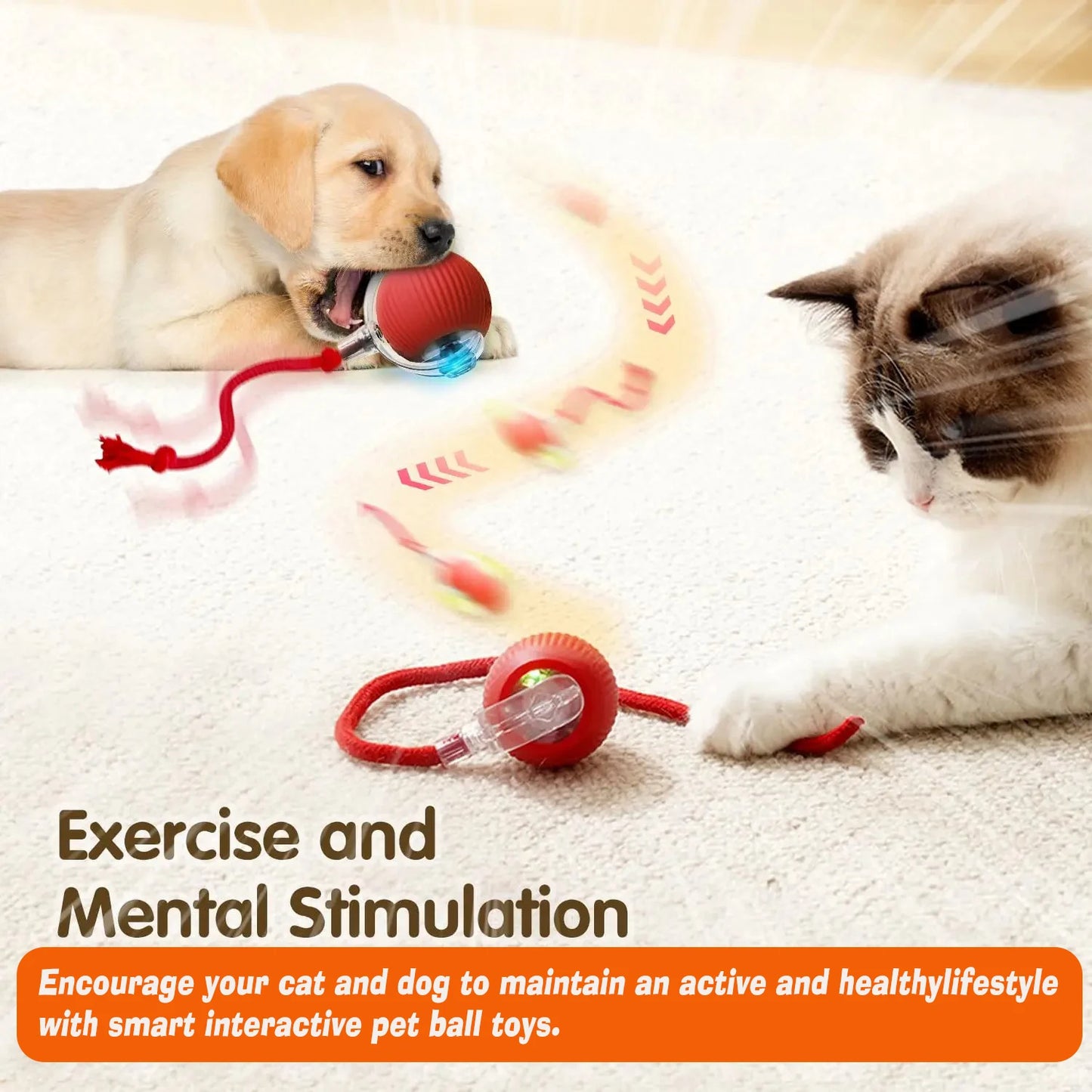 Interactive Smart Ball for Pets