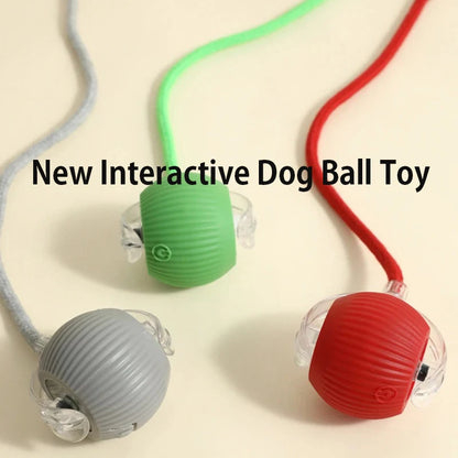 Interactive Smart Ball for Pets