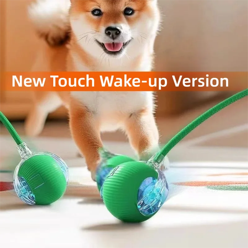 Interactive Smart Ball for Pets