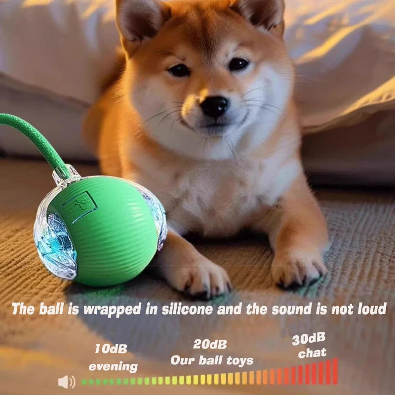 Interactive Smart Ball for Pets