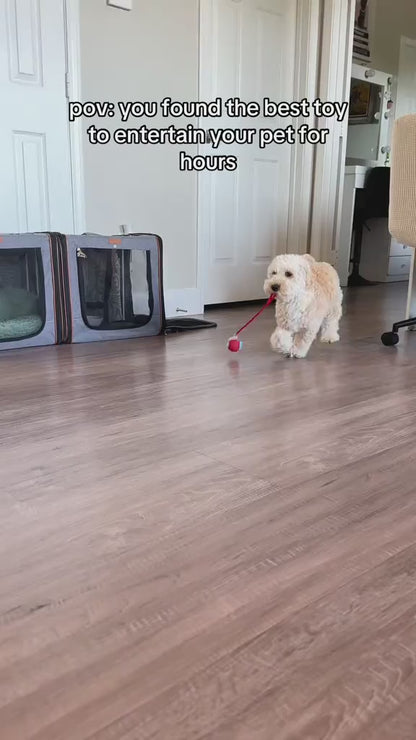 Interactive Smart Ball for Pets