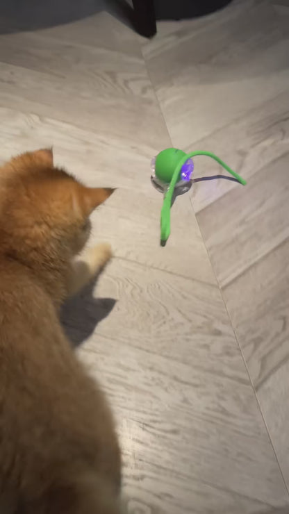 Interactive Smart Ball for Pets